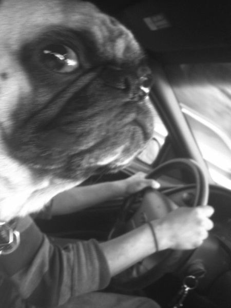 Bildschirmarbeiter - Picdump 28.11.2014