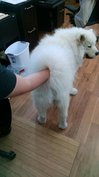 Bildschirmarbeiter - Picdump 28.11.2014