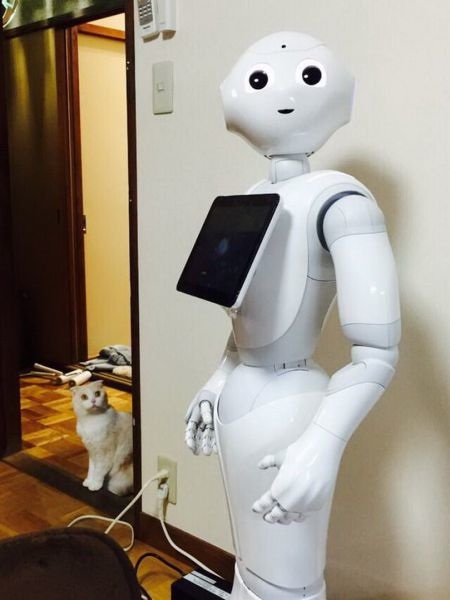 Bildschirmarbeiter - Picdump 28.11.2014