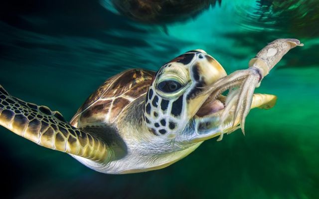 Bildschirmarbeiter - Picdump 28.11.2014