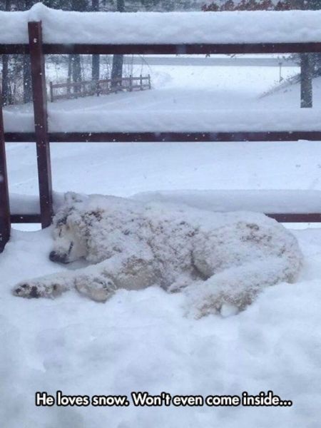 Bildschirmarbeiter - Picdump 28.11.2014