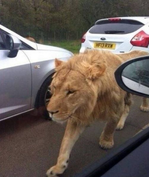 Bildschirmarbeiter - Picdump 28.11.2014