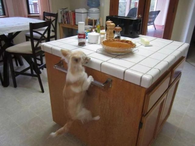 Bildschirmarbeiter - Picdump 28.11.2014