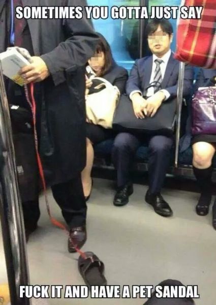 Bildschirmarbeiter - Picdump 28.11.2014