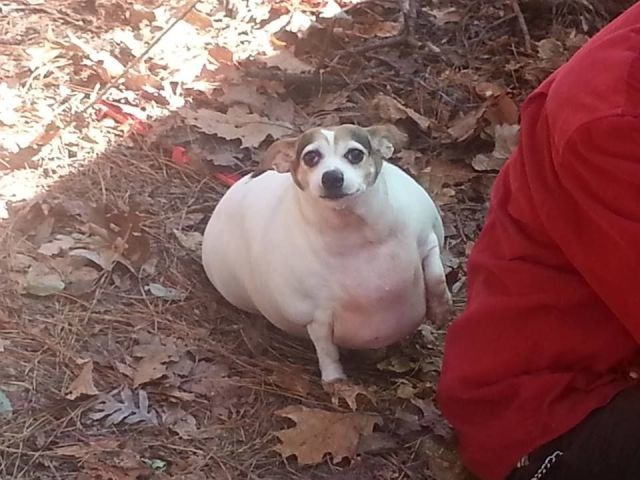 Bildschirmarbeiter - Picdump 28.11.2014