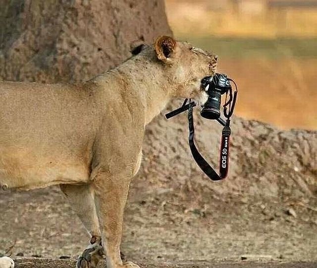 Bildschirmarbeiter - Picdump 28.11.2014