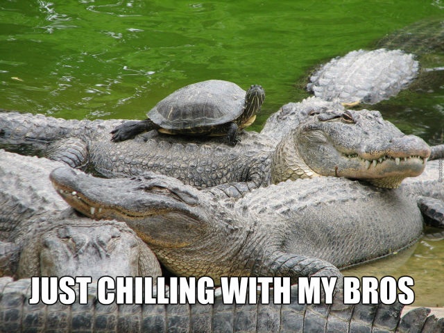 Bildschirmarbeiter - Picdump 28.11.2014