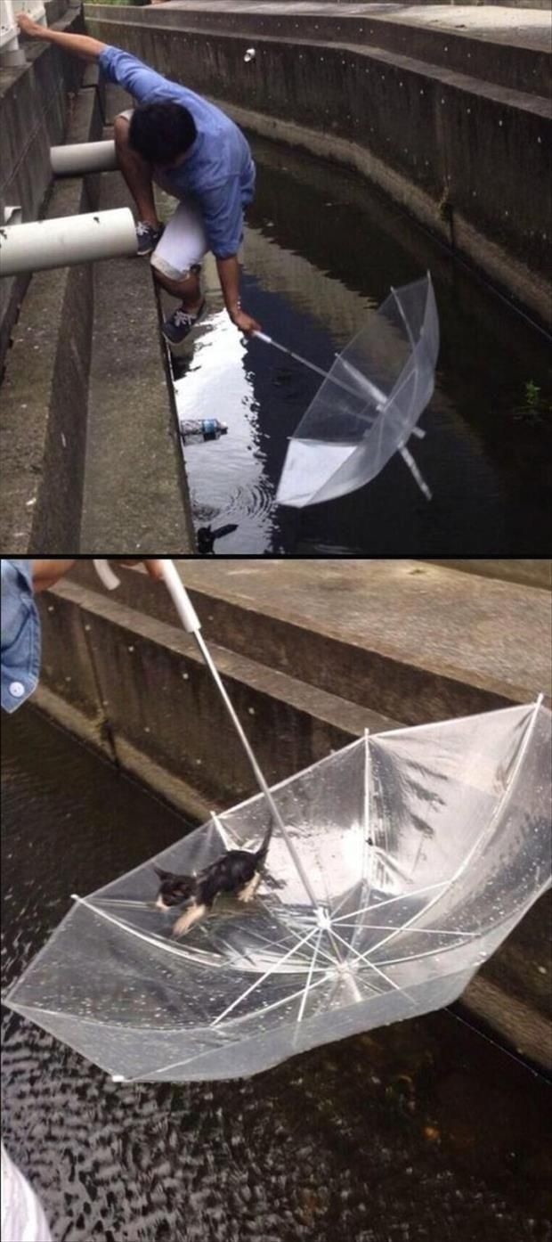 Bildschirmarbeiter - Picdump 28.11.2014