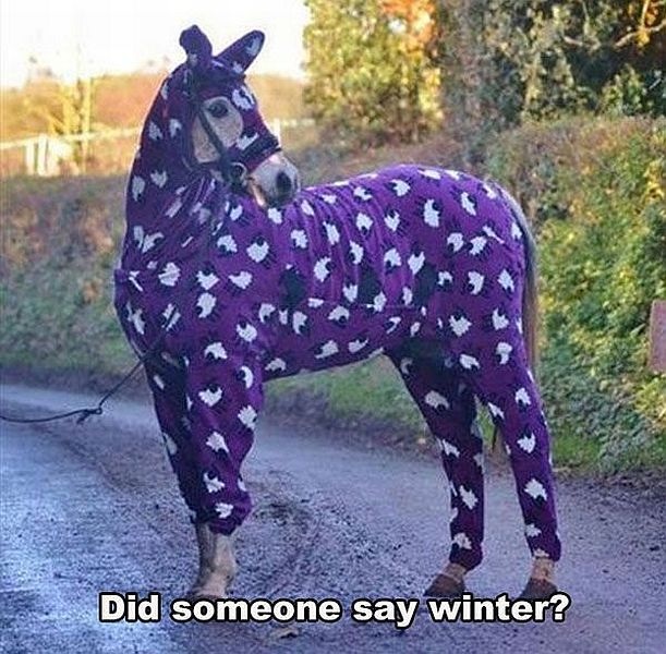 Bildschirmarbeiter - Picdump 28.11.2014