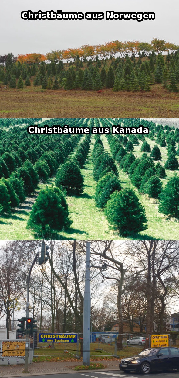 Bildschirmarbeiter - Picdump 28.11.2014