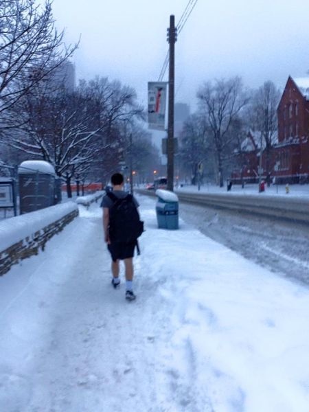 Bildschirmarbeiter - Picdump 12.12.2014