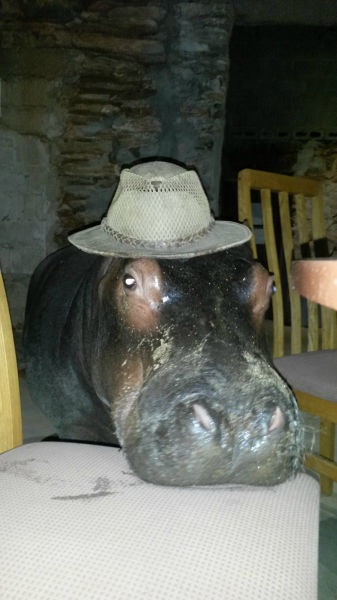 Bildschirmarbeiter - Picdump 12.12.2014