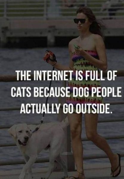 Bildschirmarbeiter - Picdump 12.12.2014