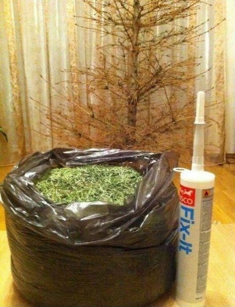 Bildschirmarbeiter - Picdump 12.12.2014