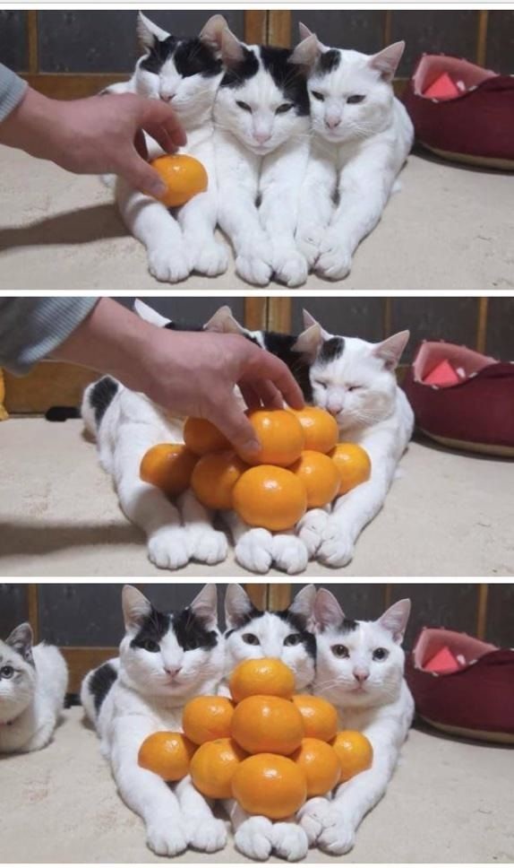 Bildschirmarbeiter - Picdump 12.12.2014