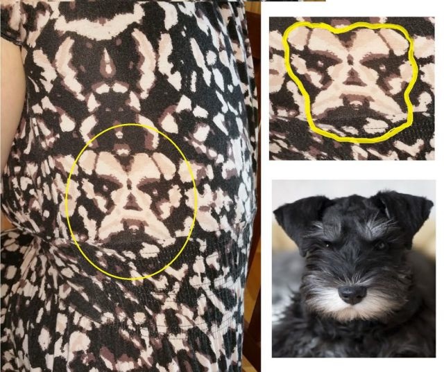 Bildschirmarbeiter - Picdump 12.12.2014