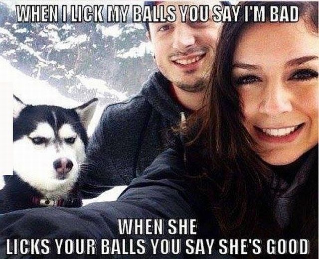 Bildschirmarbeiter - Picdump 12.12.2014