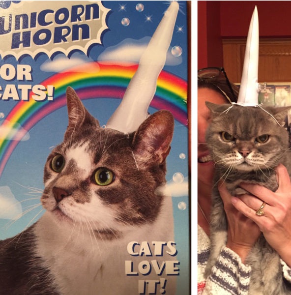 Bildschirmarbeiter - Picdump 12.12.2014