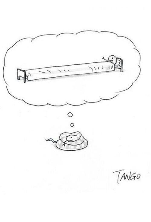 Bildschirmarbeiter - Picdump 19.12.2014