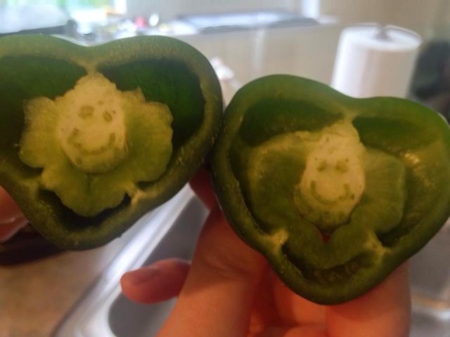 Bildschirmarbeiter - Picdump 19.12.2014