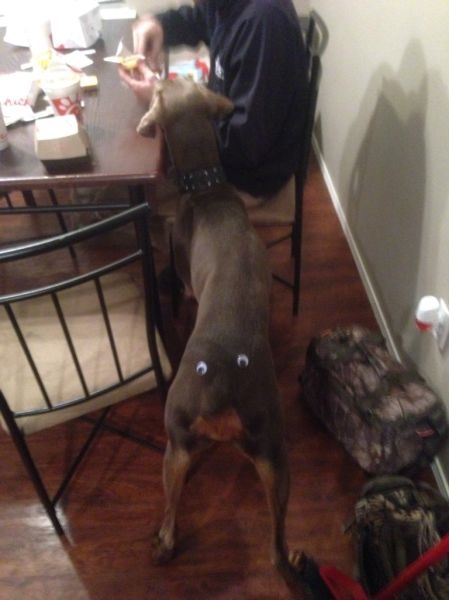 Bildschirmarbeiter - Picdump 19.12.2014