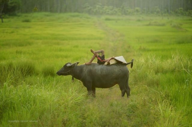 Bildschirmarbeiter - Picdump 19.12.2014