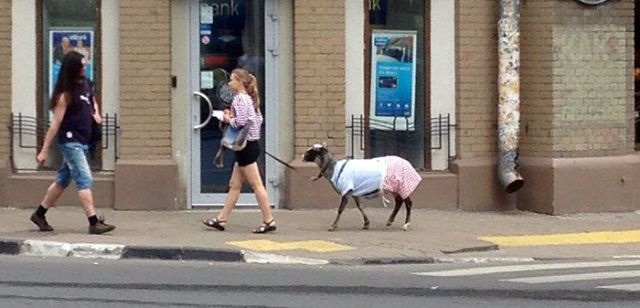 Bildschirmarbeiter - Picdump 19.12.2014