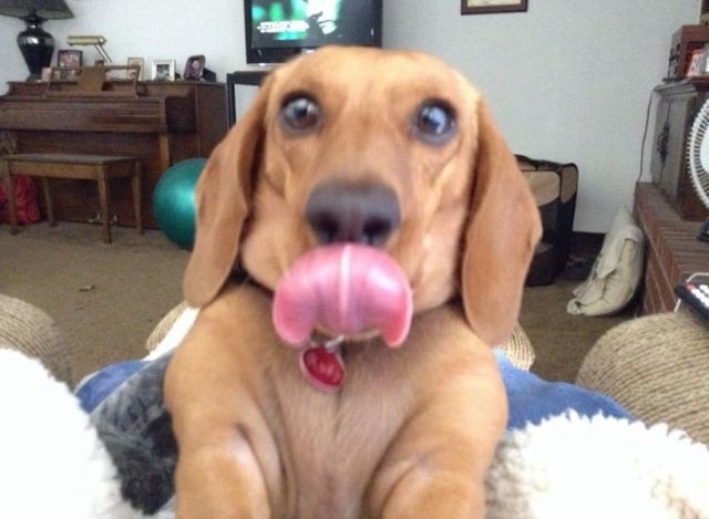 Bildschirmarbeiter - Picdump 19.12.2014