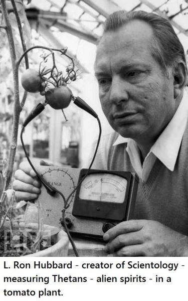 Bildschirmarbeiter - Picdump 19.12.2014