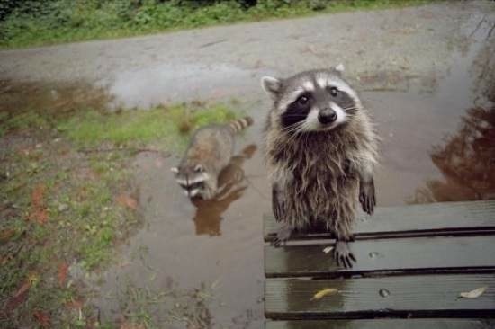 Bildschirmarbeiter - Picdump 19.12.2014