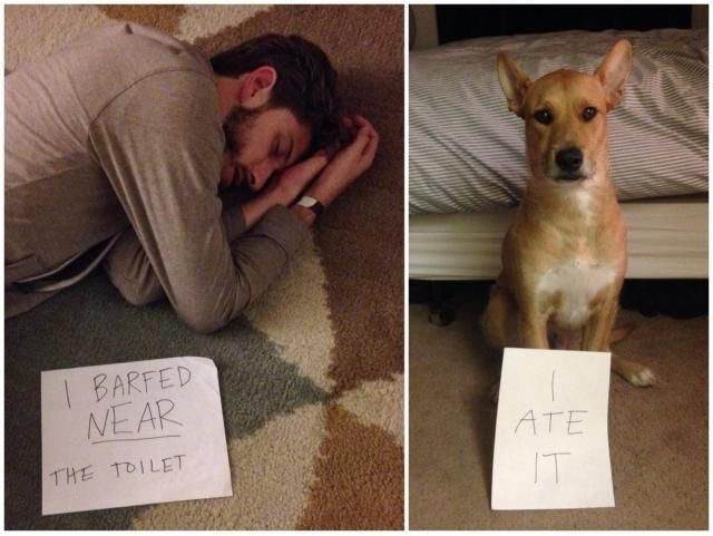 Bildschirmarbeiter - Picdump 19.12.2014