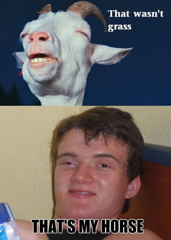 Bildschirmarbeiter - Picdump 19.12.2014