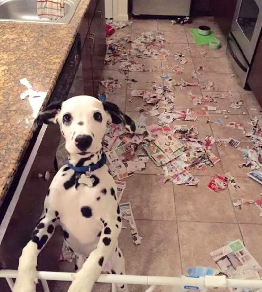 Bildschirmarbeiter - Picdump 19.12.2014