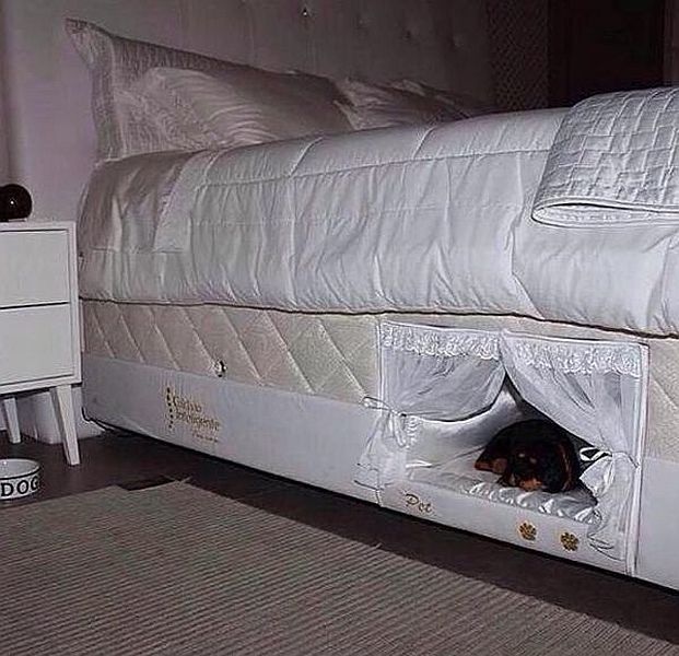 Bildschirmarbeiter - Picdump 19.12.2014