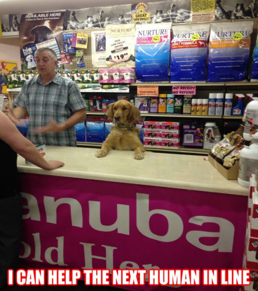 Bildschirmarbeiter - Picdump 19.12.2014