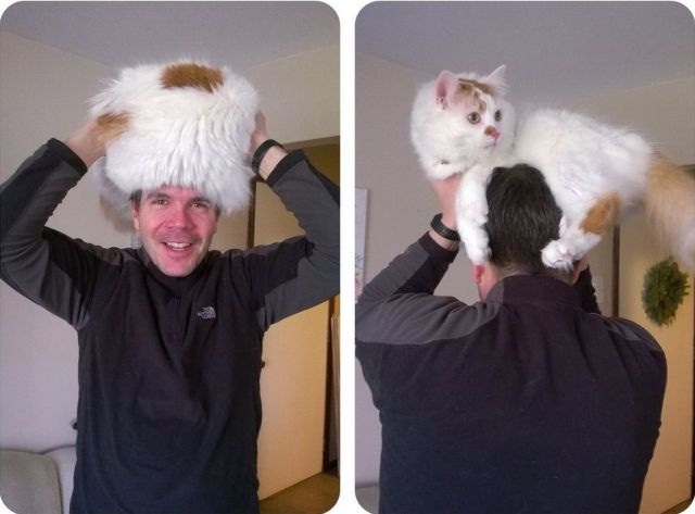 Bildschirmarbeiter - Picdump 26.12.2014