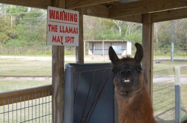 Bildschirmarbeiter - Picdump 26.12.2014