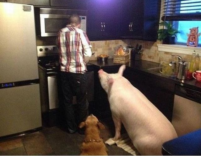 Bildschirmarbeiter - Picdump 26.12.2014