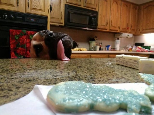 Bildschirmarbeiter - Picdump 26.12.2014