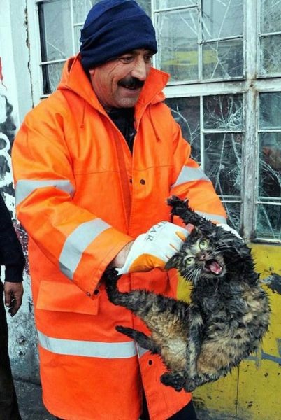 Bildschirmarbeiter - Picdump 26.12.2014