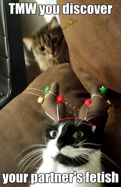 Bildschirmarbeiter - Picdump 26.12.2014