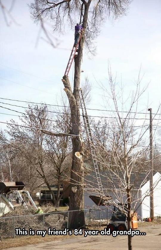 Bildschirmarbeiter - Picdump 26.12.2014