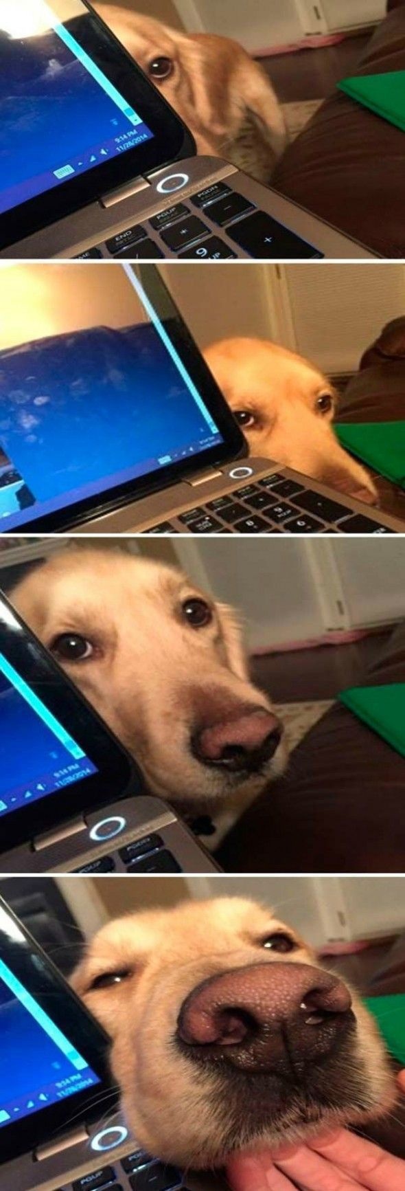 Bildschirmarbeiter - Picdump 26.12.2014