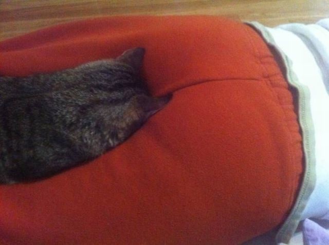 Bildschirmarbeiter - Picdump 02.01.2015