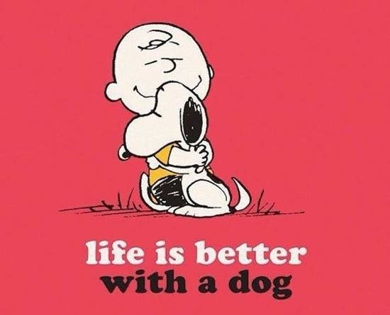 Bildschirmarbeiter - Picdump 02.01.2015