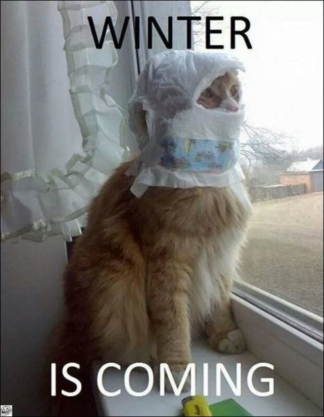 Bildschirmarbeiter - Picdump 02.01.2015