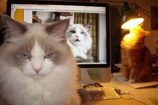 Bildschirmarbeiter - Picdump 02.01.2015