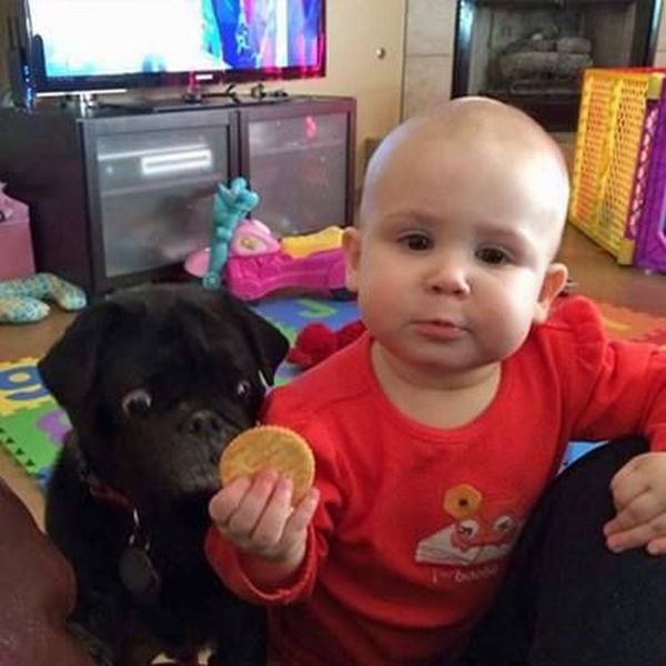 Bildschirmarbeiter - Picdump 02.01.2015