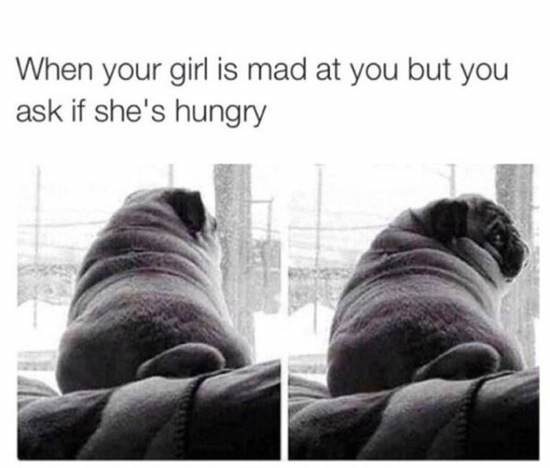 Bildschirmarbeiter - Picdump 02.01.2015