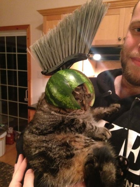 Bildschirmarbeiter - Picdump 02.01.2015